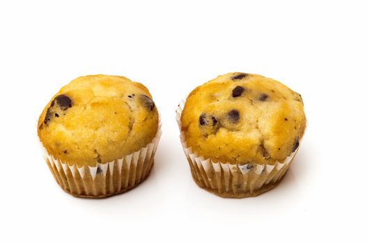 chocolate cupcakes on a white background