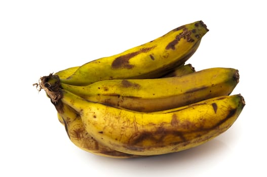 Canary bananas on a white background