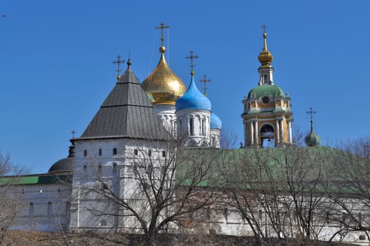 Novospassky monastery in Moscow. General view of the waterfront.