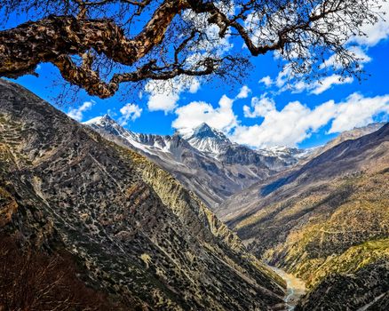 Himalayas mountains valley with white peaks and tree, Nepal