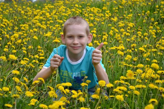 the happy teenager sits on a clearing from dandelions