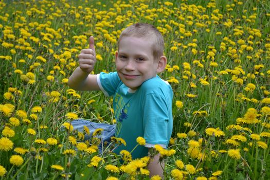 the happy teenager sits on a clearing from dandelions