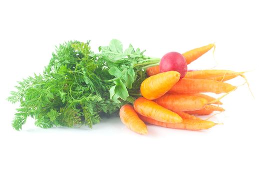 bunch of carrots with green leaves and radish isolated on white