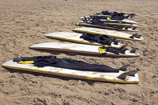Surfboards at the beach