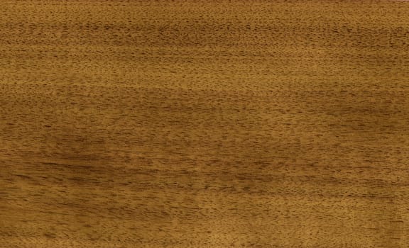 Wood, natural finishing material, veneer tree nutwood
