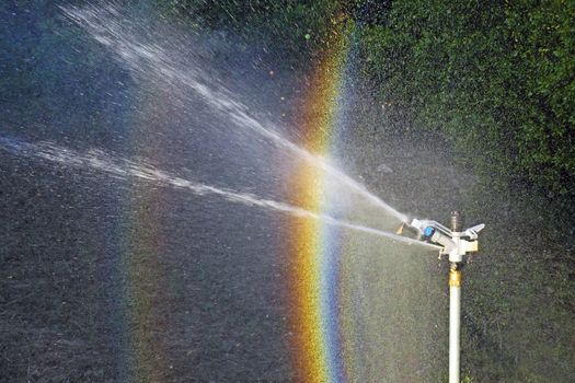 Sprinkler spraying water