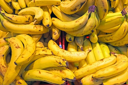 Oranic bananas in a market stall