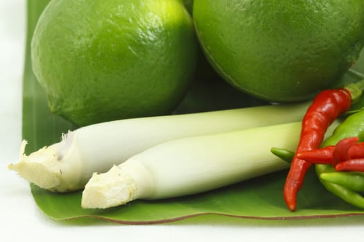 Fresh  lemongrass detail of ingredients for Thai soup, Tom Yum Goong.