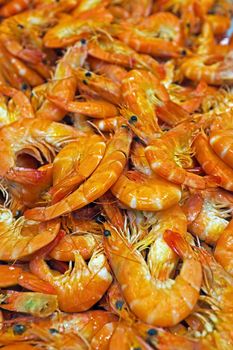 Shrimps in the fish market