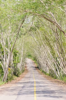 The road through the countryside, Thailand.