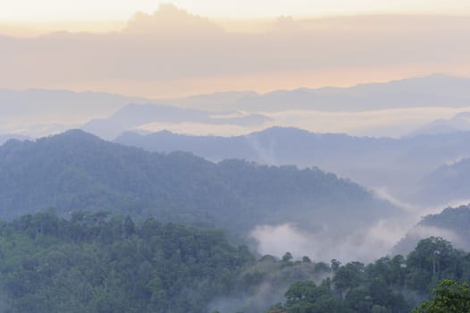 Beautiful sunset  floating fog landscape in rain forest, Thailand.