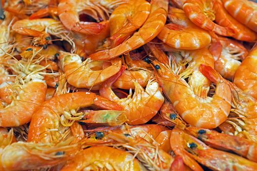 Shrimps in the fish market