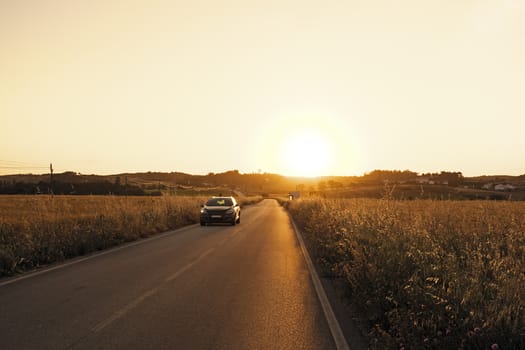 Car driving through the corn fields at twilight in Portugal
