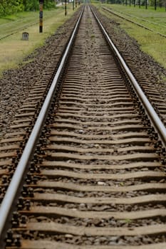 pair of railway track in the green