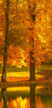 Beautiful colors of autumn landscape by the lake