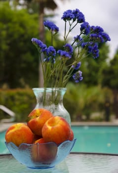 Vase with blue flowers and peaches stay on glass table by the pool