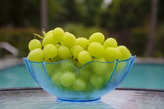 Grape in glass plate on table by the swimming pool