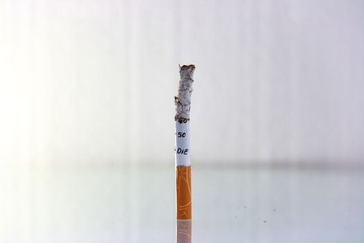 cigarette burning in front of white background