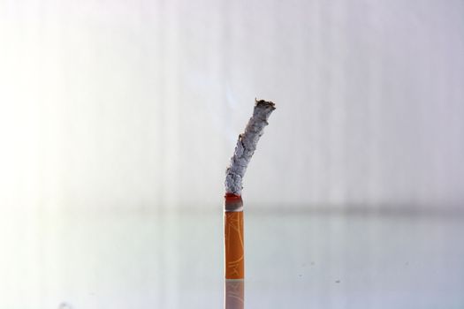 cigarette burning in front of white background