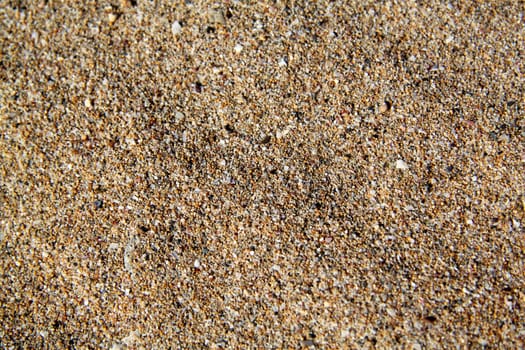 The texture of the yellow sea sand
