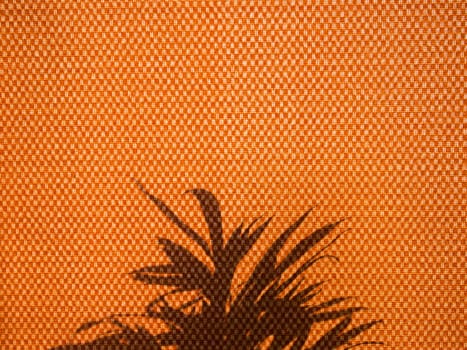 Shadow of tree leaves on curtain fabric as background.