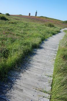 wooden path in the moor