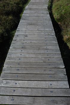 wooden path in the moor