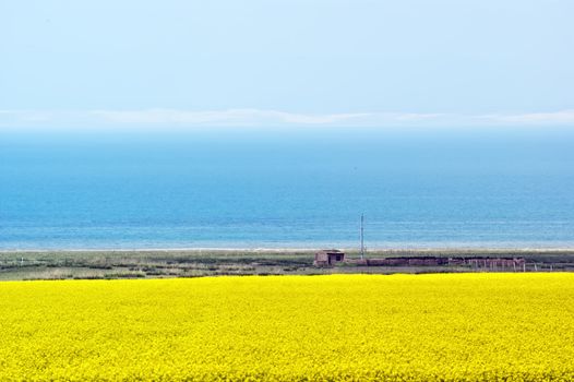 Taken in Qinghai, China