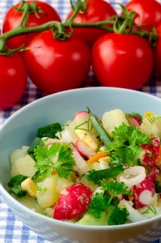 Summer salad of fresh vegetables