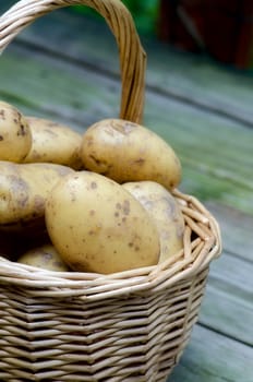 Fresh potatoes in a basket