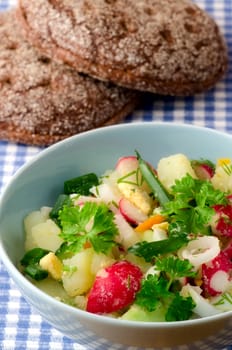 Summer salad of fresh vegetables