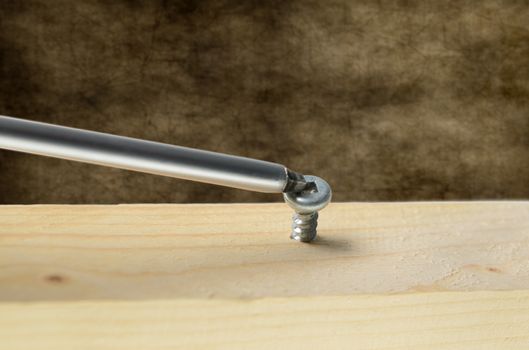 Robertson screwdriver screwing into wood.