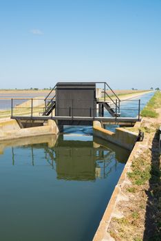 Irrigation canal amidst the rice fields at Ebro delta, Spain