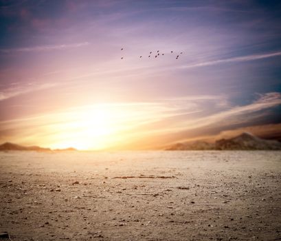 Idylic landscape of a desert at sunset