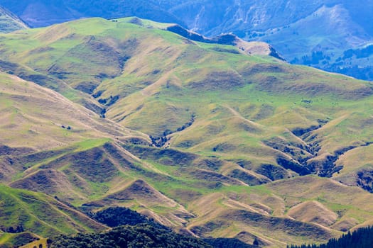 Scenic landscape of rural farmland pasture in hill country of Hawke's Bay district on North Island of New Zealand