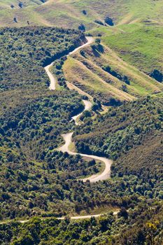 Winding dirt road in scenic landscape of rural farmland forest of Hawke's Bay district on North Island of New Zealand