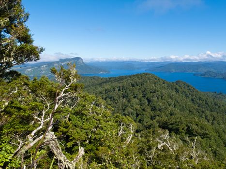 Scenic forest wilderness landscape of Urewera National Park with blue surface of Lake Waikaremoana Hawke's Bay district of North Island of New Zealand