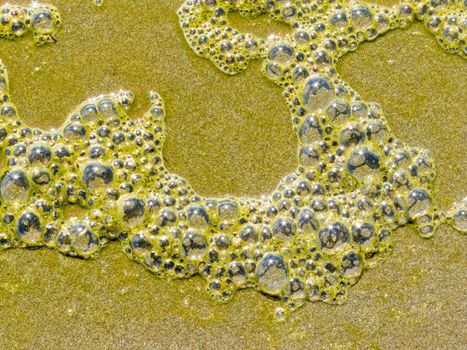 Background texture pattern of foam bubbles formed by water piollution on wet sand beach in sun