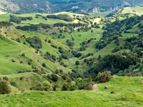 Scenic landscape of rural farmland pasture in hill country of Hawke's Bay district on North Island of New Zealand