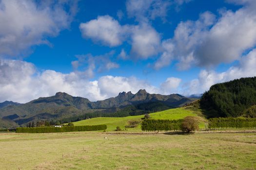 Scenic farmland framed by rugged mountains landscape on Coromandel Peninsula North Island of New Zealand