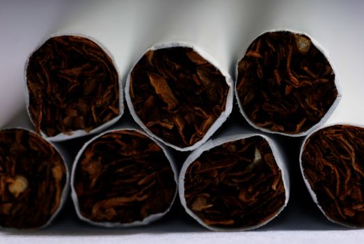 Extremely close-up photo of the cigarettes