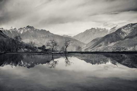 Trees and mountains reflection in still lake, monochrome vintage view