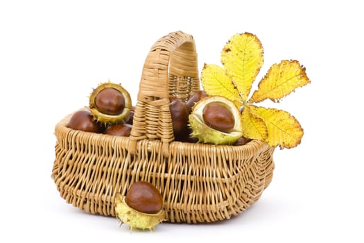 basket full of chestnuts and autumnal leaves