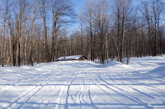 storehouse in winter forest in Ontario park