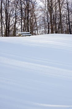 Barbecue tables under snow in Ontario park