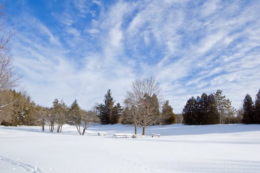 Barbecue tables under snow in Ontario park