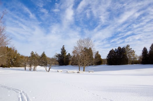 Barbecue tables under snow in Ontario park