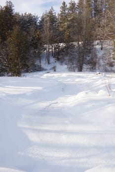 Small creek under ice and snow in winter forest at Albione Hills.