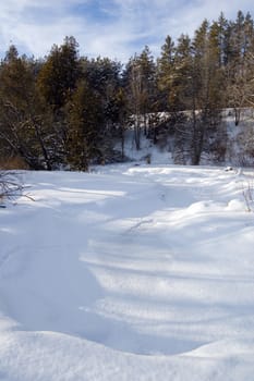 Small creek under ice and snow in winter forest at Albione Hills.