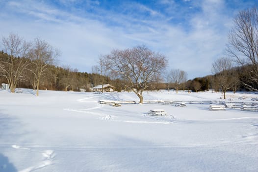 Barbecue tables under snow in Ontario park
